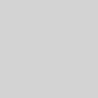 light-grey concrete paint color Custom light gray