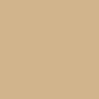 tan concrete paint color Custom tan