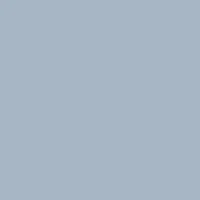Light Gray light gray