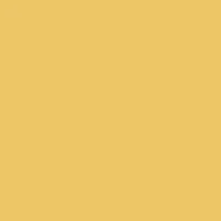 Signal Yellow Signal Yellow